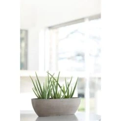 Ecopots Pflanzschale Sofia Lang Braungrau 56 Cm X 14 Cm X 16 Cm -Gartenwelt Günstiges Geschäft 012100 SofiaLong56Taupe 90