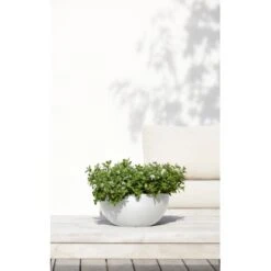 Ecopots Pflanztopf Brussels Weiß 30 Cm X 14 Cm 5 Ecopots Pflanztopf Brussels Weiß 30 Cm X 14 Cm -Gartenwelt Günstiges Geschäft 100 Brussels30PureWhite 90