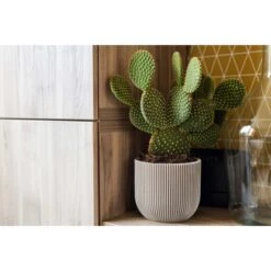 Capi Pflanztopf Groove Kugel Oval Elfenbein 17 Cm X 15 Cm -Gartenwelt Günstiges Geschäft 113952 4091 03