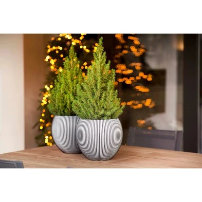 Capi Pflanztopf Groove Kugel Schwarz 30 Cm X 25 Cm 2 Capi Pflanztopf Groove Kugel Schwarz 30 Cm X 25 Cm – Bild 2