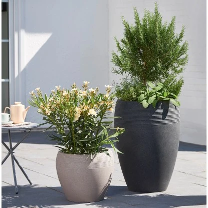 Scheurich Pflanzgefäß Lineo High Ø 39 Cm Schwarz Granit 2 Scheurich Pflanzgefäß Lineo High Ø 39 Cm Schwarz Granit – Bild 2