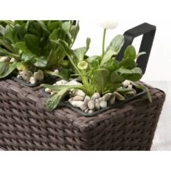 Gartenfreude Balkonkasten Polyrattan 47 Cm X 17 Cm Mocca 2 Stück 7 Gartenfreude Balkonkasten Polyrattan 47 Cm X 17 Cm Mocca 2 Stück -Gartenwelt Günstiges Geschäft 159819 4655 pt02