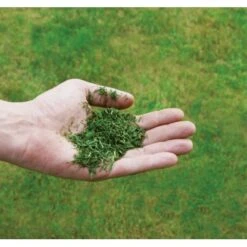 Einhell Benzin-Rasenmäher GC-PM 51/3 S HW-E -Gartenwelt Günstiges Geschäft 171 340487 2171 8073710 08