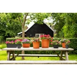 Ebertsankey Pflanzentopf Original Ø 53 Cm Terracotta -Gartenwelt Günstiges Geschäft 2284214 4667 1