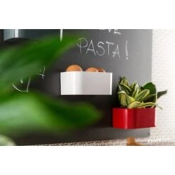 KalaMitica Kunststoffgefäß Mit Magnet Kasten 22 Cm X 12 Cm Rot 6 KalaMitica Kunststoffgefäß Mit Magnet Kasten 22 Cm X 12 Cm Rot -Gartenwelt Günstiges Geschäft 258111 4179 3