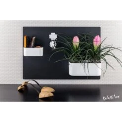 KalaMitica Kunststoffgefäß Mit Magnet Kasten 22 Cm X 12 Cm Rot 7 KalaMitica Kunststoffgefäß Mit Magnet Kasten 22 Cm X 12 Cm Rot -Gartenwelt Günstiges Geschäft 258111 4179 4
