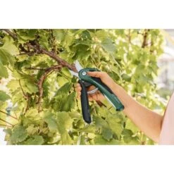 Bosch Akku-Gartenschere EasyPrune 12 Bosch Akku-Gartenschere EasyPrune -Gartenwelt Günstiges Geschäft 2610319 3058 05