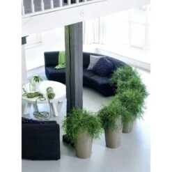 Lechuza Pflanzgefäß Rondo Premium Ø 33 Cm X 56 Cm Taupe Hochglanz 10 Lechuza Pflanzgefäß Rondo Premium Ø 33 Cm X 56 Cm Taupe Hochglanz -Gartenwelt Günstiges Geschäft 261960 4186 5