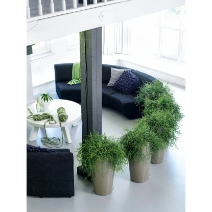 Lechuza Pflanzgefäß Rondo Premium Ø 33 Cm X 56 Cm Taupe Hochglanz 5 Lechuza Pflanzgefäß Rondo Premium Ø 33 Cm X 56 Cm Taupe Hochglanz – Bild 5