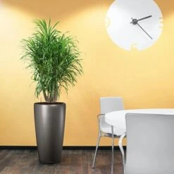 Lechuza Pflanzgefäß Rondo Premium Ø 40 Cm X 75 Cm Anthrazit Metallic 9 Lechuza Pflanzgefäß Rondo Premium Ø 40 Cm X 75 Cm Anthrazit Metallic -Gartenwelt Günstiges Geschäft 261963 4186 4