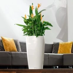 Lechuza Pflanzgefäß Rondo Premium Ø 40 Cm X 75 Cm Weiß Hochglanz -Gartenwelt Günstiges Geschäft 262013 4186 3