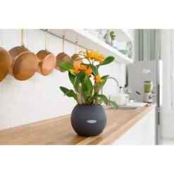 Lechuza Pflanzgefäß Puro Color Ø 20 Cm X 16 Cm Schiefergrau -Gartenwelt Günstiges Geschäft 262752 4186 3