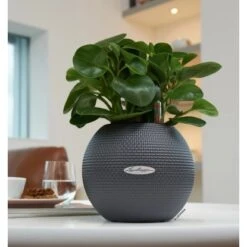 Lechuza Pflanzgefäß Puro Color Ø 20 Cm X 16 Cm Schiefergrau -Gartenwelt Günstiges Geschäft 262752 4186 4