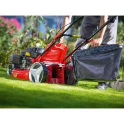 Trike-Rasenmäher B 51/TMA 60 L Fangkorb 2.900 W -Gartenwelt Günstiges Geschäft 4048122036251 A06 071118