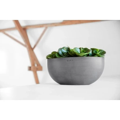 Ecopots Pflanzschale Sofia Big Grau 43 Cm X 250 Cm X 17,5 Cm 2 Ecopots Pflanzschale Sofia Big Grau 43 Cm X 250 Cm X 17,5 Cm – Bild 2