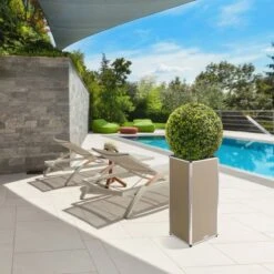 Amare Blumentopf Pur Fiberglas Design 33 Cm X 33 Cm X 76 Cm Beige 17 Amare Blumentopf Pur Fiberglas Design 33 Cm X 33 Cm X 76 Cm Beige -Gartenwelt Günstiges Geschäft 4251083908394 4655 9