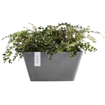 Ecopots Pflanzschale Berlin Grau 41 Cm 2 Ecopots Pflanzschale Berlin Grau 41 Cm – Bild 2