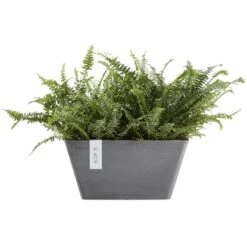 Ecopots Pflanzschale Berlin Grau 41 Cm 5 Ecopots Pflanzschale Berlin Grau 41 Cm -Gartenwelt Günstiges Geschäft 5413724300731 11012100 03
