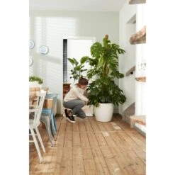 Elho Blumentopf Brussels Rund Mit Rollen Ø 35 Weiß -Gartenwelt Günstiges Geschäft 8360893 4667 3