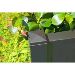 KHW Pflanzkasten Groß Mit Spalier 2-tlg. Anthrazit 140 Cm X 100 Cm X 43 Cm 14 KHW Pflanzkasten Groß Mit Spalier 2-tlg. Anthrazit 140 Cm X 100 Cm X 43 Cm -Gartenwelt Günstiges Geschäft 836756 4264 6