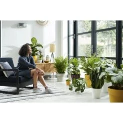 Elho Blumentopf B.for Original Mit Rollen Ø 35 Cm Ocker -Gartenwelt Günstiges Geschäft 8711904331528 4667 03