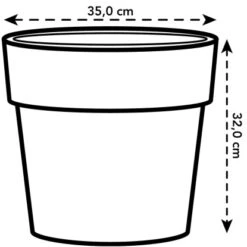 Elho Blumentopf B.for Original Mit Rollen Ø 35 Cm Ocker -Gartenwelt Günstiges Geschäft 8711904331528 4667 04