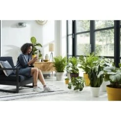 Elho Blumentopf B.for Original Mit Rollen Ø 35 Cm Ocker -Gartenwelt Günstiges Geschäft 8711904331528 4667 08