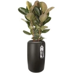 Elho Übertopf Pure Beads Large Ø 39,2 Cm Walnussbraun -Gartenwelt Günstiges Geschäft 8711904350260 4667 06