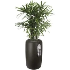 Elho Übertopf Pure Beads Large Ø 39,2 Cm Walnussbraun -Gartenwelt Günstiges Geschäft 8711904350260 4667 07