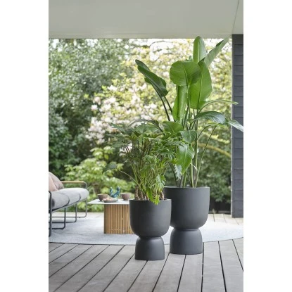 Elho Blumentopf Pure Coupe Ø 34,9 Cm Schwarz 2 Elho Blumentopf Pure Coupe Ø 34,9 Cm Schwarz – Bild 2