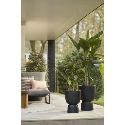 Elho Blumentopf Pure Coupe Ø 34,9 Cm Schwarz 3 Elho Blumentopf Pure Coupe Ø 34,9 Cm Schwarz – Bild 3