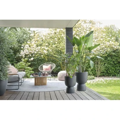 Elho Blumentopf Pure Coupe Ø 34,9 Cm Schwarz 11 Elho Blumentopf Pure Coupe Ø 34,9 Cm Schwarz – Bild 11