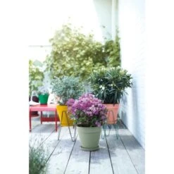 Elho Blumentopf Loft Urban Rund Mit Rollen Ø 48,5 Cm Pistaziengrün -Gartenwelt Günstiges Geschäft 8711904500597 4667 13