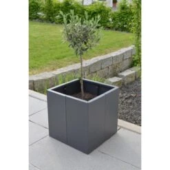Eleo Pflanzkübel Vernazza 40 Cm X 40 Cm X 40 Cm Pulverbeschichtet DB703 -Gartenwelt Günstiges Geschäft 945073 4915 3