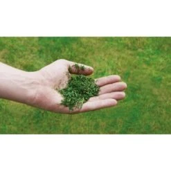 Einhell Benzin-Rasenmäher GC-PM 56/2 S HW -Gartenwelt Günstiges Geschäft 978003 2171 08