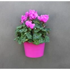 KalaMitica Kunststoffgefäß Mit Magnet Zylinder Ø 10 Cm Gelb -Gartenwelt Günstiges Geschäft itica anwendungsbeispiel 4